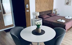 Central Luxury Apartment Iasi
